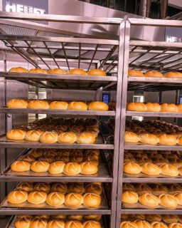 Frisch aus dem Ofen 🍞🥐🥖🥨

#backhandwerk #bäckerei #brotbacken #backkunst #bakery #breadstagram #bakingbread #bakerslife #germanbread #instabread #komacoolingconditioning #cooling #conditioning #freezing #qualität #thermooel #thermooelbakers #thermooelovens #heuftthermooelbakers #stikkenofen #kaiserbrötchen #brötchen #semmel #backstube #bäckerhandwerk #bakerylove #betterbaking #brot #bread #baguette