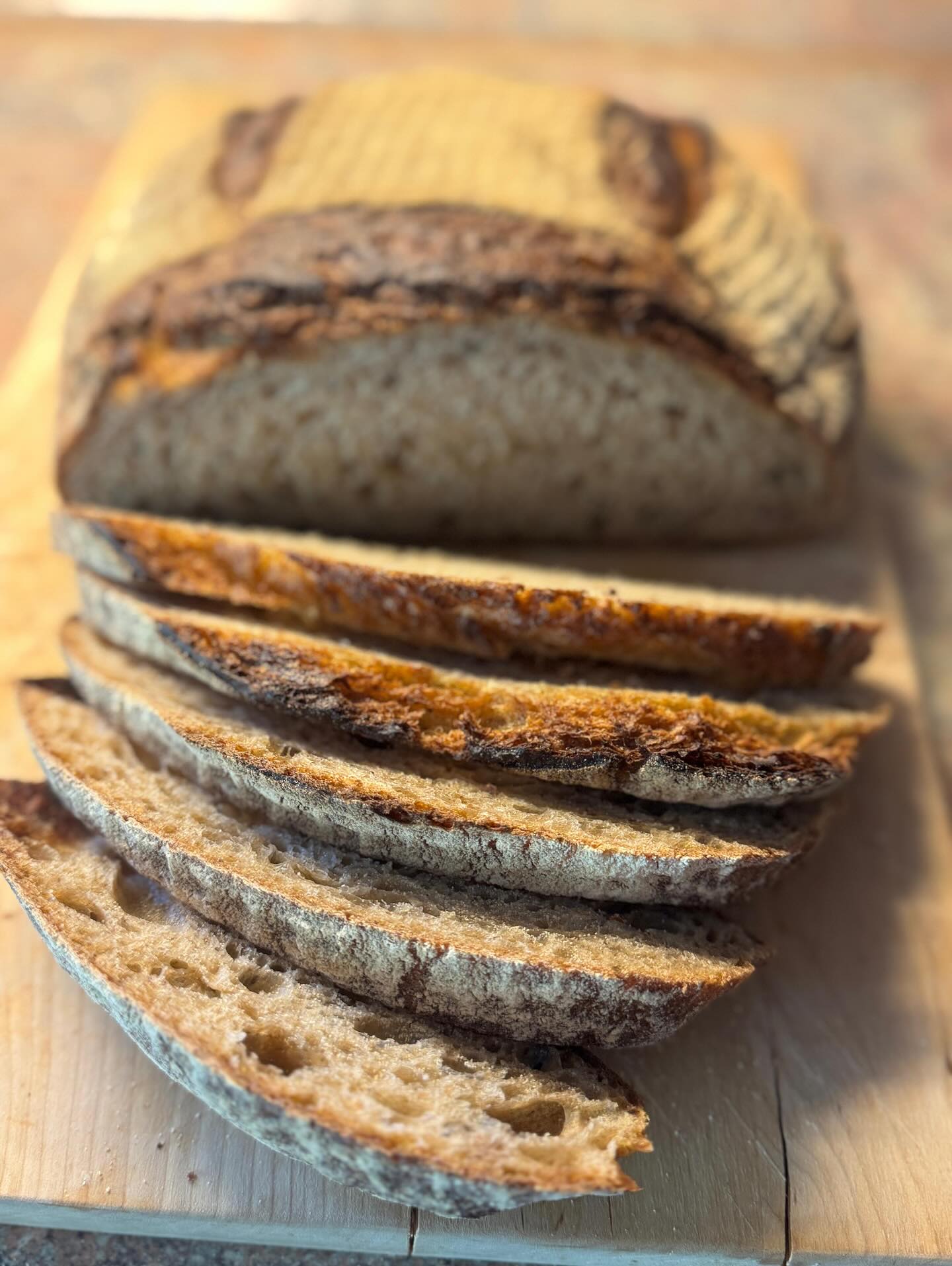 Kohlenhydrate? Gern auf Stein gebacken! 
⌛️🔥🍞

#backhandwerk #bäckerei #brotbacken #backkunst #bakery #breadstagram #bakingbread #bakerslife #germanbread #instabread #komacoolingconditioning #cooling #conditioning #freezing #qualität #thermooel #thermooelbakers #thermooelovens #heuftthermooelbakers #stikkenofen #kaiserbrötchen #brötchen #semmel #backstube #bäckerhandwerk #bakerylove #betterbaking #brot #bread #baguette